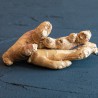Mahe ingverijuured