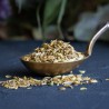 Mahe apteegitilli seemned (Fennel seed)