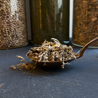 Organic wormwood (Artemisia absinthium)