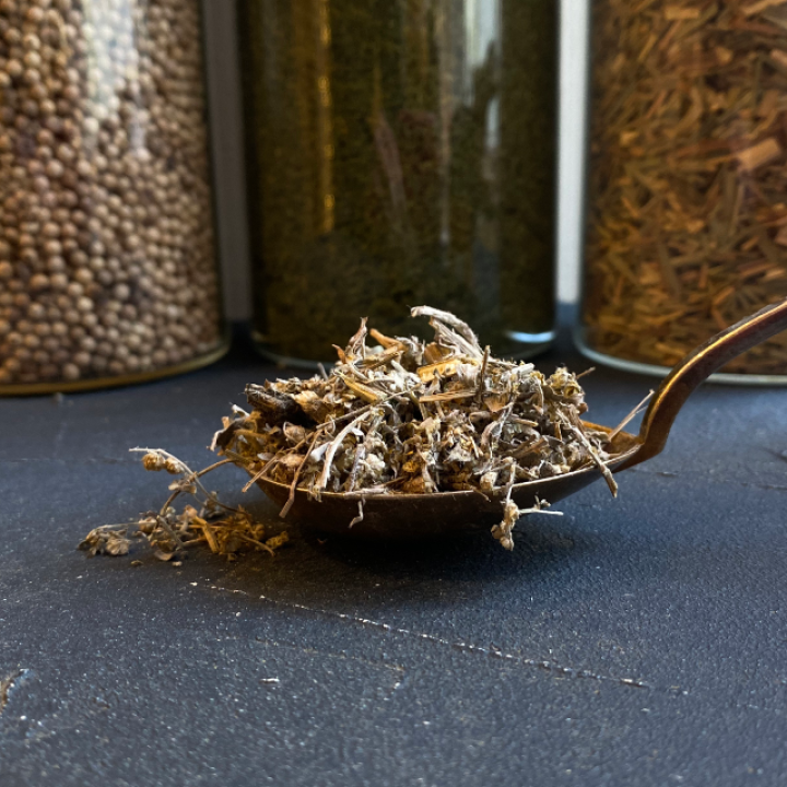 Organic wormwood (Artemisia absinthium)