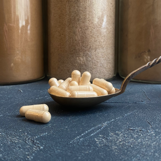 Mahe lõvilaka (Lion’s Mane) kapslid, 500 mg