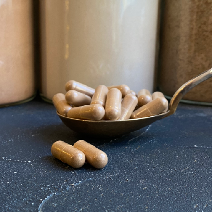 Mahe lakkvaabiku (Reishi) kapslid 500 mg
