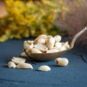 Organic peanuts