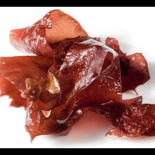 Kuivatatud mahe vetikas Dulse