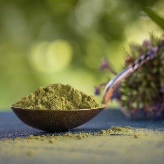 Organic Premium matcha green tea powder from Japan
