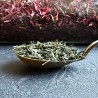 Roheline Jaapani Premium Sencha Konomi mahe tee
