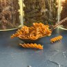 Organic red lentil pasta FUSILLI with sea salad