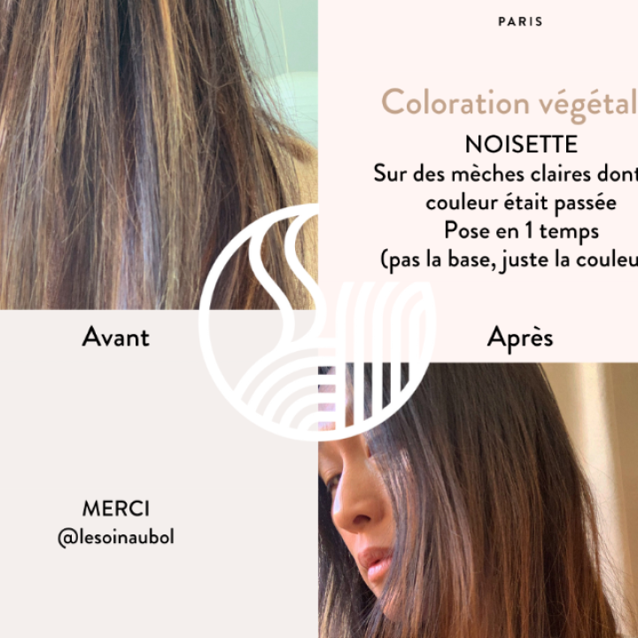 Organic hair dye Rich Hazelnut