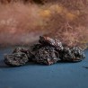 Органический чернослив без косточек