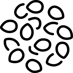 Teraviljad