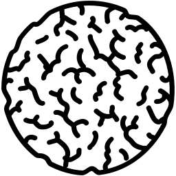 Leib, küpsised, kreekerid