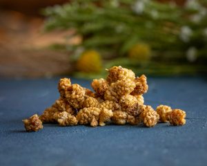 organic white mulberry (Morus alba)