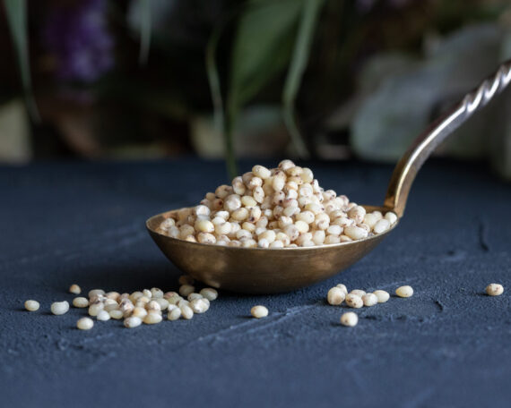 Mahedad kooritud sorgo tangud