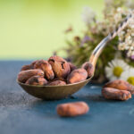 Organic Criollo Cocoa Beans RAW