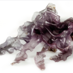 Kuivatatud mahe vetikas Nori