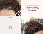 Органическая краска для волос Chestnut Brown — изображение 4