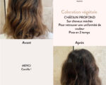Органическая краска для волос Chestnut Brown — изображение 3